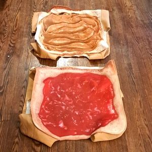 Peanut Butter & Jelly Halloween Costume